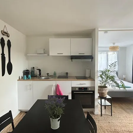 Agreable Proche Aeroport De Bordeaux Apartament